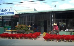 Video: Những sản phẩm làng nghề đặc trưng của nông dân TP.HCM