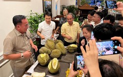 Thu hơn 700 tỷ đồng trong tháng 10, Hoàng Anh Gia Lai có doanh thu cao nhất từ đầu năm