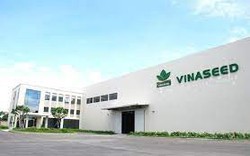 Vinaseed (NSC) điều chỉnh giảm kế hoạch kinh doanh