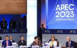 Nhiều đề xuất của Việt Nam mở ra hướng hợp tác mới cho APEC