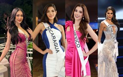 7 ứng viên sáng giá tại chung kết Miss Universe 2023: Thứ hạng Bùi Quỳnh Hoa, mỹ nhân Thái Lan gây ngỡ ngàng