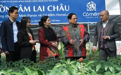 Thủ tướng Phạm Minh Chính thăm vườn sâm Lai Châu tại xã Sà Dề Phìn