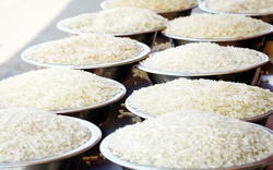 Ấn Độ có thể ​​duy trì lệnh cấm xuất khẩu gạo đến năm 2024, đẩy giá gạo toàn cầu tăng cao