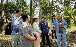 Đắk Nông tìm cách mở 'khóa' phát triển du lịch nông nghiệp, nông thôn