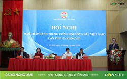 Radio Nông dân: Nhịp sống Nông thôn mới ngày 03/11/2023