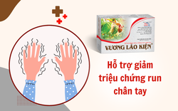 Vương Lão Kiện - Giải pháp hỗ trợ giảm run an toàn, hiệu quả cho người bệnh run tay chân