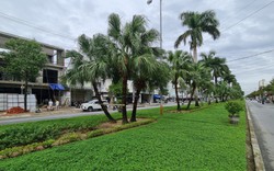 
Tỉnh Quảng Nam “nghiêm cấm” dùng thuốc trừ cỏ trên các công trình giao thông
