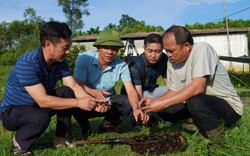 Đại hội VIII Hội NDVN: Chi, tổ hội nghề nghiệp-nơi nông dân giúp nhau làm giàu, kinh nghiệm từ Nghệ An
