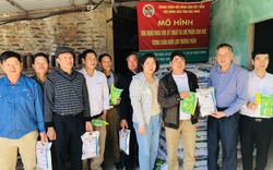 Nuôi lợn ứng dụng chế phẩm sinh học ở Bắc Ninh: Kỳ vọng hiệu quả cao, nhân rộng mô hình