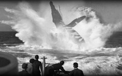Thuỷ quái khổng lồ đánh chìm tàu ngầm Đức UB-85?