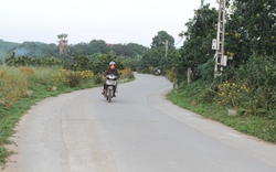 Yên Bái: Đại Minh phấn đấu là xã nông thôn mới kiểu mẫu đầu tiên của huyện Yên Bình năm 2023