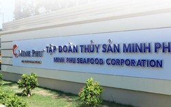 Thủy sản Minh Phú đầu tư gần 633 tỷ đồng xây dựng nhà ở xã hội, kinh doanh thì tiếp tục lỗ