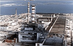 Thảm họa hạt nhân Chernobyl: Vì sao lợn rừng tại Tây Âu vẫn nhiễm phóng xạ sau 37 năm?