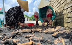 Chợ làng ở Nghệ An chỉ bán "con ăn tàn phá hại" này, giá đắt đỏ thiên hạ vẫn tranh nhau mua