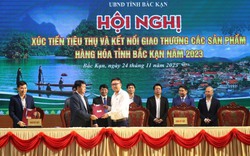 Thúc đẩy xúc tiến tiêu thụ, kết nối giao thương sản phẩm đặc trưng, đặc sản Bắc Kạn