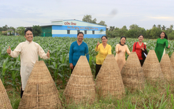 Khách thích mê trồng hành, đào khoai lang, ăn bánh lá ở điểm du lịch canh nông mới toanh tại Trà Vinh