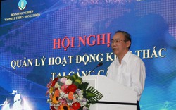 Thứ trưởng Bộ NNPTNT đề nghị triển khai thí điểm mô hình cảng cá chuyên dụng