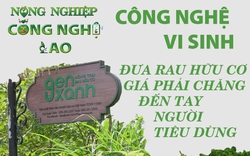 NÔNG NGHIỆP CÔNG NGHỆ CAO: Công nghệ vi sinh đưa rau hữu cơ giá phải chăng đến tay người tiêu dùng