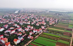 Huyện Mê Linh chuẩn bị đấu giá 73 thửa đất, diện tích, giá khởi điểm ra sao?