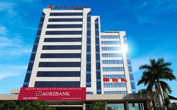Agribank 7 năm liên tiếp nằm trong TOP10 Doanh nghiệp lớn nhất Việt Nam
