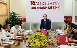 Hội Nông dân Hà Nội giám sát thực hiện chính sách tín dụng theo Nghị định 55 của Chính phủ tại Mê Linh
