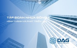 Nhựa Đông Á (DAG): "Hứng trọn combo" lỗ ròng, cổ phiếu vào diện kiểm soát