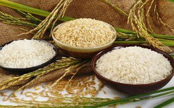 Chuyên gia cảnh báo nóng khi giá gạo Việt Nam cao nhất trên thế giới 