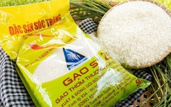 Gạo Việt Nam đạt giải gạo ngon nhất thế giới 2023