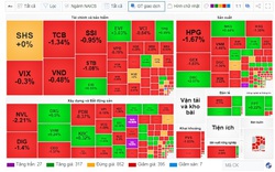 Hàng loạt sự kiện nóng, VN-Index đóng cửa giảm gần 9 điểm