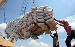 Trung Quốc bất ngờ tăng mua một loại lương thực của Việt Nam, 9 tháng mua 869.000 tấn