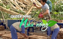 Chuyển động Nhà nông 5/11: Doanh nghiệp lo ngại bị EU “dán nhãn” hàng xuất khẩu gây mất rừng