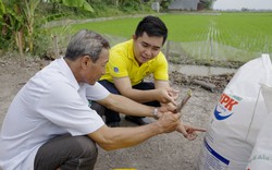 Tiêu dùng thông minh - Phân bón Cà Mau là lựa chọn hàng đầu