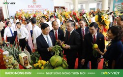 Nhịp sống Nông thôn mới ngày 06/11/2023