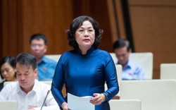 ĐBQH "truy" Thống đốc Nguyễn Thị Hồng thời gian xoá bỏ phân bổ chỉ tiêu tăng trưởng tín dụng