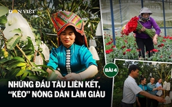 Những đầu tàu liên kết, "kéo" nông dân làm giàu: Hợp tác trở thành văn hóa (bài 4)