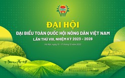 Công bố biểu trưng chính thức Đại hội đại biểu Hội Nông dân Việt Nam  lần thứ VIII, nhiệm kỳ 2023 - 2028