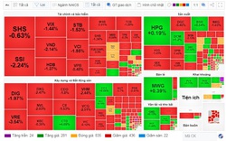 SSI xuất hiện 2 lệnh bán lớn, đạt hơn 100.000 đơn vị/lệnh trong phiên thị trường "đỏ lửa"