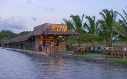 Độc lạ quán cà phê nằm giữa cánh đồng nước nổi, thu hút khách nườm nượp đến trải nghiệm