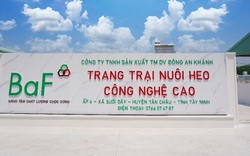 Nông nghiệp BAF thành lập công ty logistic