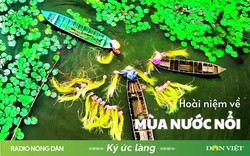 Hoài niệm về mùa nước nổi