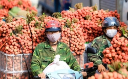 Bộ trưởng Nguyễn Hồng Diên: Sớm "đoạn tuyệt" xuất khẩu tiểu ngạch sang Trung Quốc   