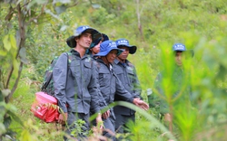 Việt Nam phát triển du lịch sinh thái ở các khu rừng đặc dụng nổi tiếng