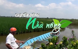 Chuyển động Nhà nông 10/12: Cà Mau mở rộng vùng sản xuất lúa-tôm theo tiêu chuẩn quốc tế