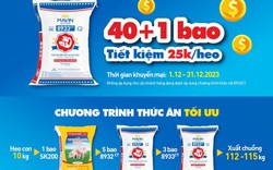 Mavin Feed khuyến mại nhân kỷ niệm 19 năm thành lập Tập đoàn