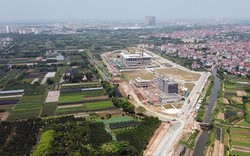 Sắp đấu giá 80 thửa đất ở huyện Mê Linh (Hà Nội)