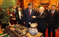 3 loại trà mà Tổng bí thư Nguyễn Phú Trọng mời Chủ tịch Tập Cận Bình đặc biệt ở chỗ nào?