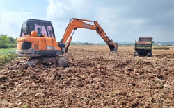Ngang nhiên đào, vận chuyển, bán đất mặt ruộng trái phép tại cánh đồng ở Ninh Bình