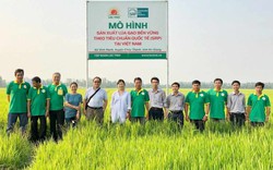 "Ông lớn" lúa gạo lập thêm 3 kỷ lục mới