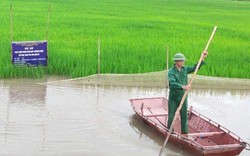 Quảng Ninh tập trung phát triển 4 nhóm sản phẩm nông nghiệp hữu cơ đến năm 2030
