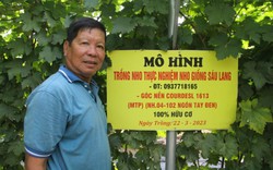 Đại hội VIII Hội Nông dân Việt Nam: "Siêu" nông dân xuất sắc muốn Hội đột phá vào chuyển đổi số nông nghiệp